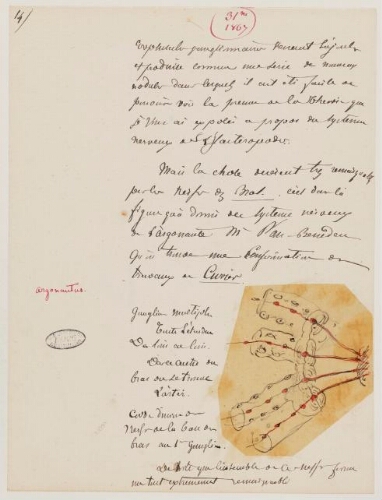 31ème leçon, 3ème année d'enseignement au Muséum, 1867 - Système nerveux et ganglions des Gastéropodes, 4 types et 2 sous-types.