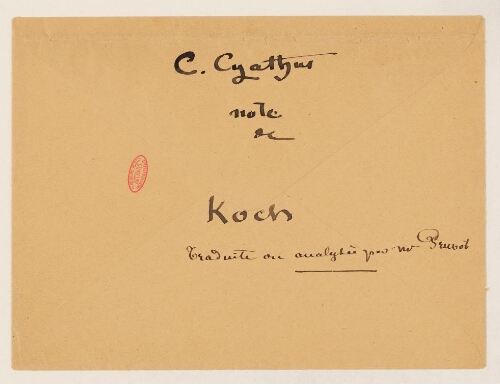 Note sur le Développement de la Caryophyllia cyathus, Gottlieb von Koch - traduite et analysée par Georges Pruvot : manuscrit.