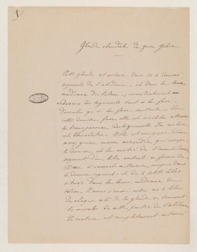 Glande caudale du genre Gebia, Yves Delage : manuscrit.