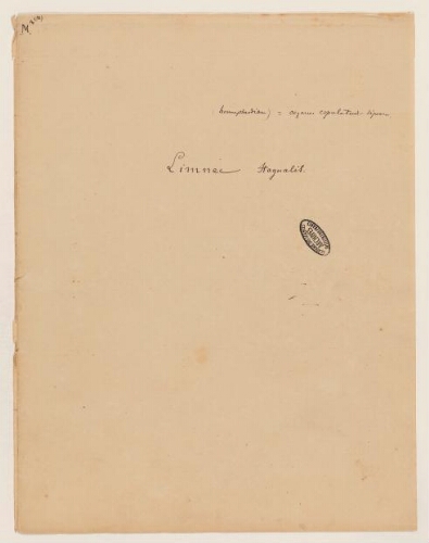 Études de spécimens - Lymneaus stagnalis : dessins d'étude anatomique, lettre, schéma, croquis.