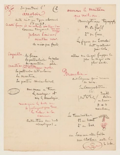 12ème leçon, 9ème année d'enseignement en Sorbonne, 1879 - L'arrosoir de Java.