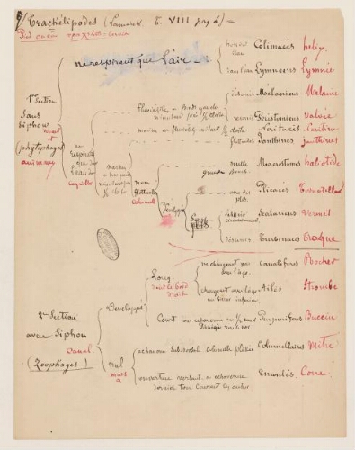 16ème leçon, 2ème année d’enseignement en Sorbonne, 1870 – Principaux ordres de la classe des Gastéropodes (Cuvier 1830).
