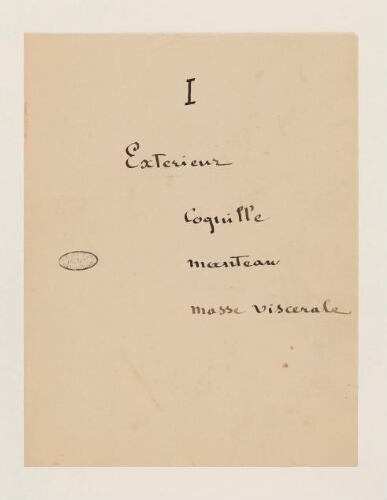 12ème leçon, 28ème année d'enseignement en Sorbonne, 8 février 1896 - Mollusque acéphale, extérieur, coquille, manteau, masse viscérale