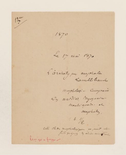 13ème leçon, 2ème année d'enseignement en Sorbonne, 17 mai 1869 - L'archétype de l'Acéphale, lamellibranche.