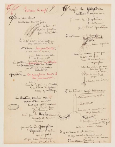 6ème leçon, 12ème année d'enseignement en Sorbonne, 1879 - Nerfs et ganglions.