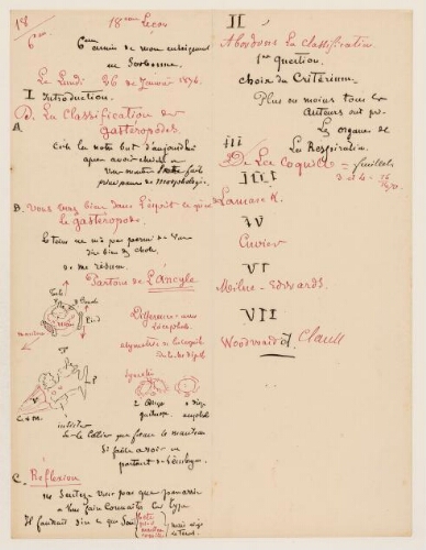 18ème leçon, 6ème année d'enseignement en Sorbonne, 26 janvier 1874 - Classification des Gastéropodes.