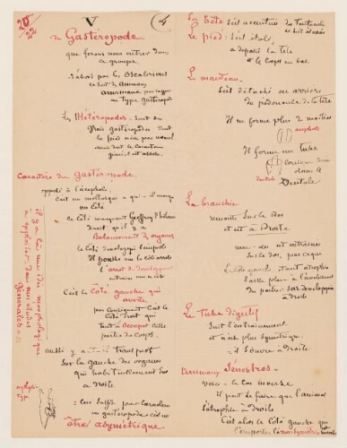 22ème leçon, 20ème année d'enseignement en Sorbonne, 1888 - Du gastéropode