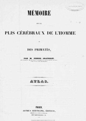 Mémoire sur les plis cérébraux de l'homme et des primatès. Atlas