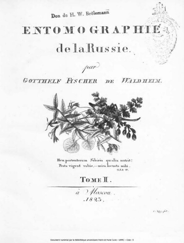 Entomographia Imperii russici. Tome 2