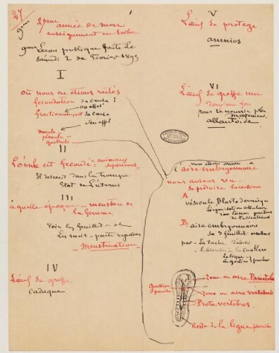 9ème leçon, 27ème année d'enseignement en Sorbonne, 2 février 1895 - L'ovule, fécondation et fractionnement.